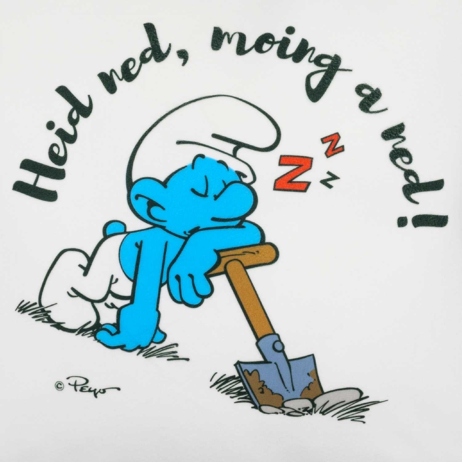 Quadratisches Kuschelkissen mit Schlumpf-Motiv und dem Schriftzug „Heid ned, moing a ned!“, weicher Stoff.