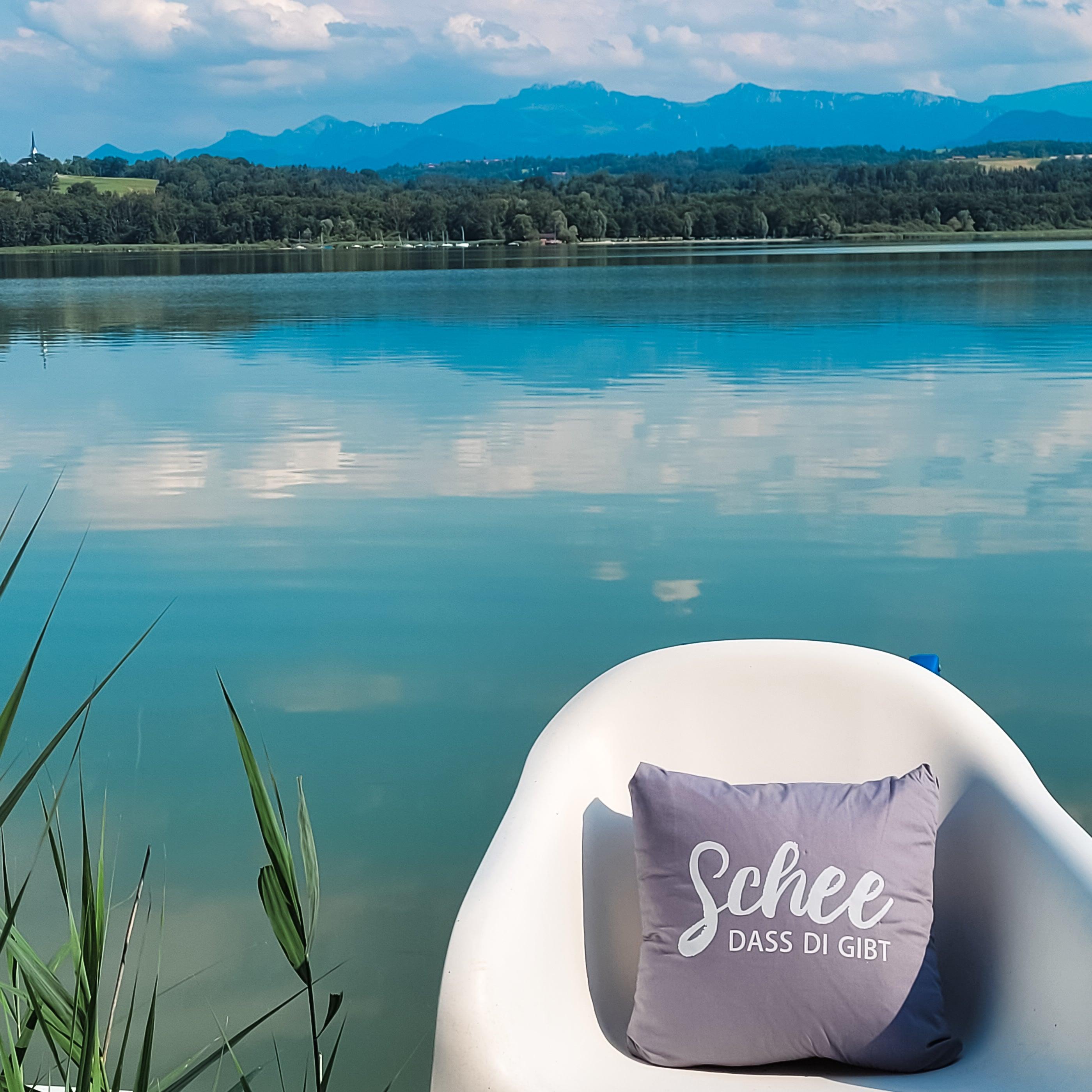 Graues Kissen Schee, dass di gibt auf weißem Stuhl vor See, Schilf und Bergen.