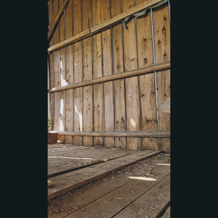 Rustikale Holzwand und Dielenboden einer alten Scheune mit Sonnenlicht-Einfall.